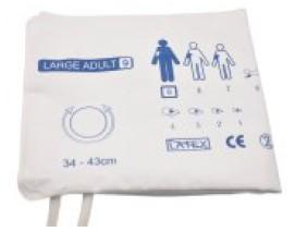 Screenshot 2025-07-23 155644